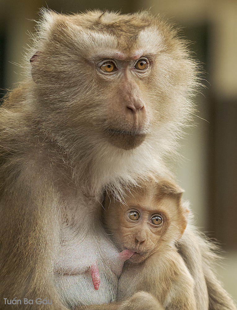 Wildlife photo 10
