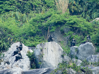 Wildlife photo 11