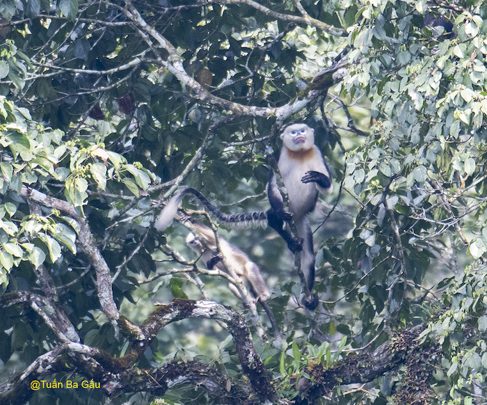 Wildlife photo 12