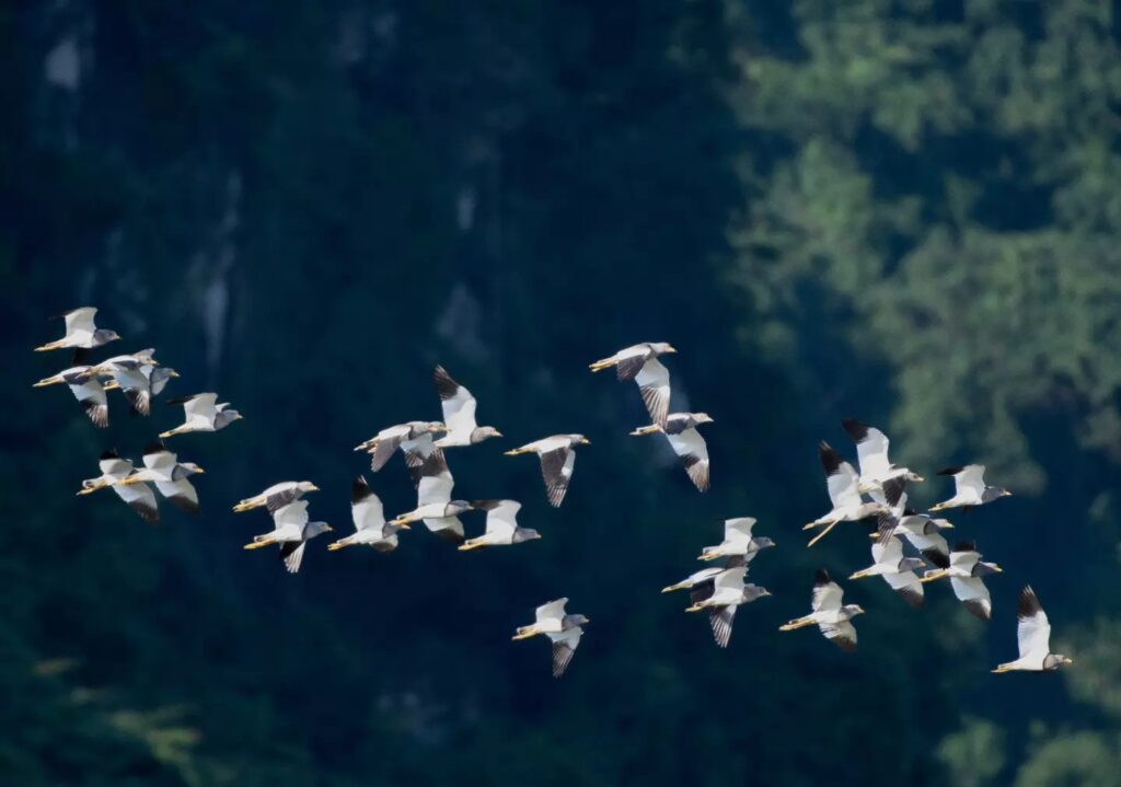 VƯỜN QUỐC GIA PHONG NHA – KẺ BÀNG