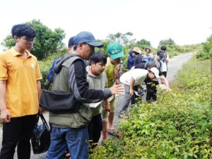 Students explored Son Tra with HiVOOC experts and Vietnam Discovery (VTV4).
