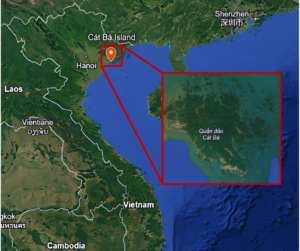 Geographic range of Cat Ba langur in Cat Ba Island, one of Cat Ba Archipelago’s 366 islands, in northern Vietnam.