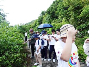 Let's learn about plants together!