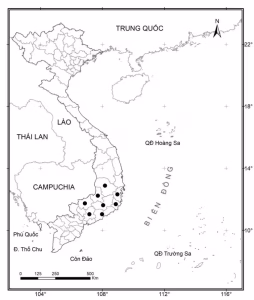 Distribution of southern yellow cheeked gibbon in Vietnam